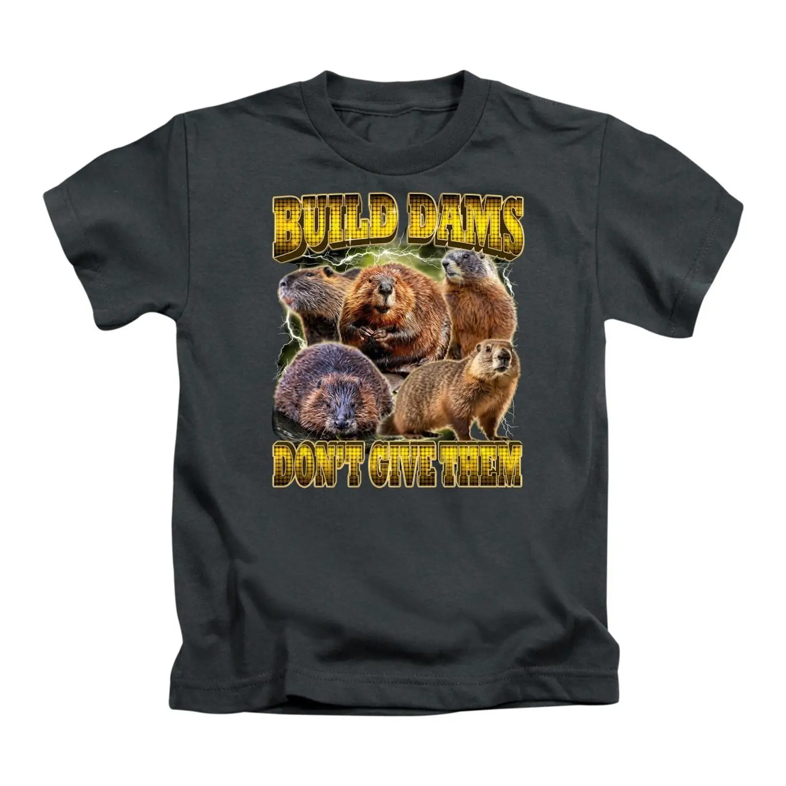 Vintage Fashion Build - ビルド・ダムズ・ドント・ギブ・ザム・エルヴァクセーネ Tシャツ 面白い ミーム風トップス ヴィンテージ ウォッシュドグラフィック